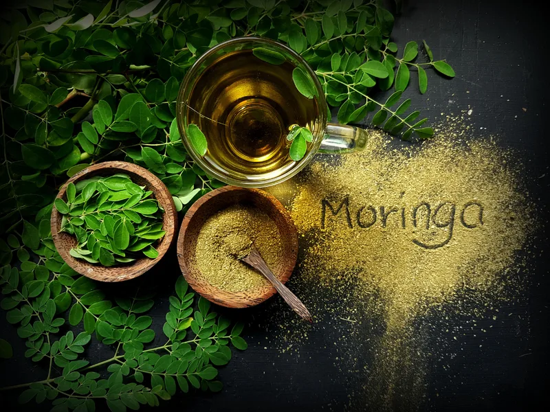 Moringa leaves, moringa powder in wooden bowls, and a cup of moringa tea arranged on a dark background with fresh green foliage